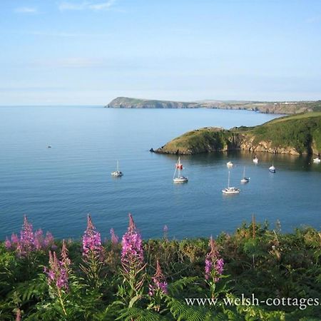 Cwmbrandy Cottage Fishguard Buitenkant foto