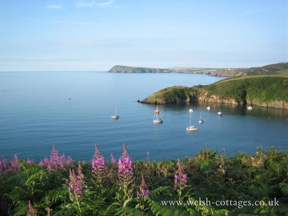 Cwmbrandy Cottage Fishguard Buitenkant foto