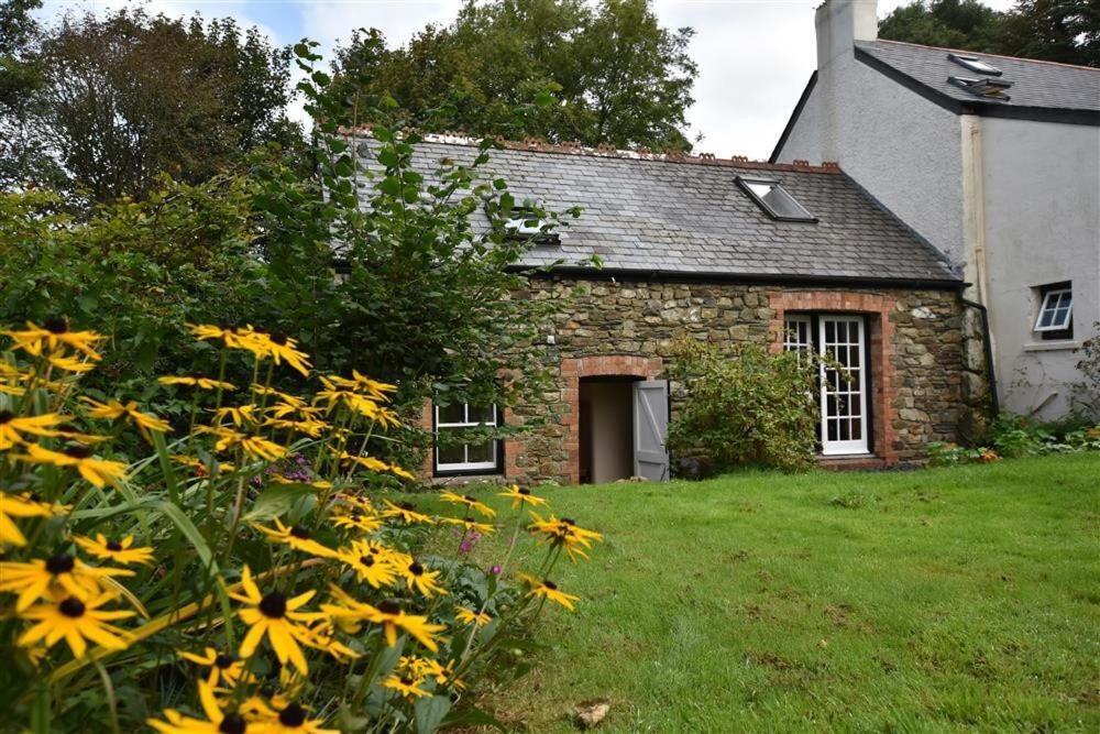 Cwmbrandy Cottage Fishguard Buitenkant foto