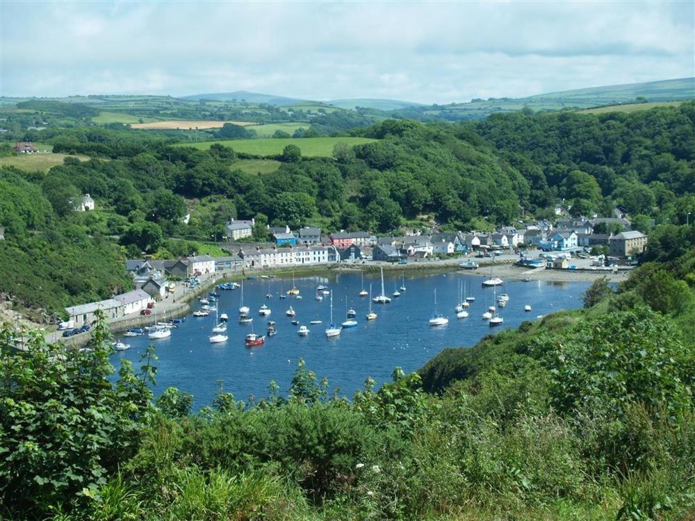 Cwmbrandy Cottage Fishguard Buitenkant foto