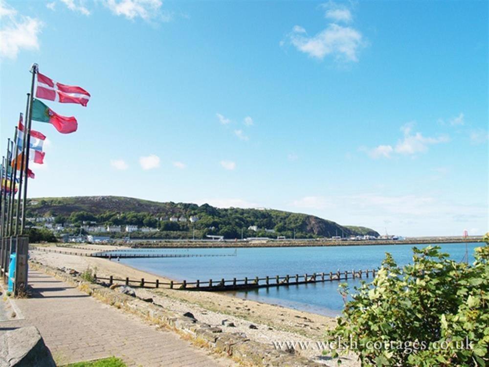 Cwmbrandy Cottage Fishguard Buitenkant foto
